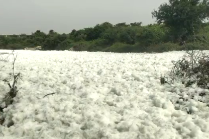 Toxic froth floats in Then Pennai River