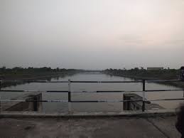 Five people of same family drown in Narmada canal in bid to save woman