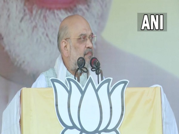 Intruders forcefully marrying tribal girls, grabbing their land: Amit Shah