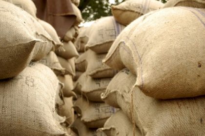 Pak flour crisis worsens; prices skyrocket amidst wheat shortage