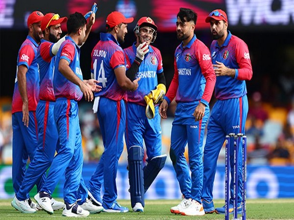 Afghanistan Cricket Board sore over Australia decision to pull out of ODIs