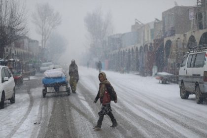 Over 200,000 livestock die due to cold weather in Afghanistan