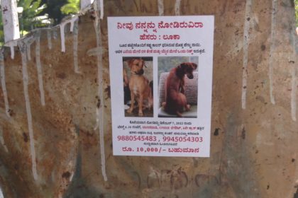 Female dog goes missing, owner announces Rs 10,000 reward for finder