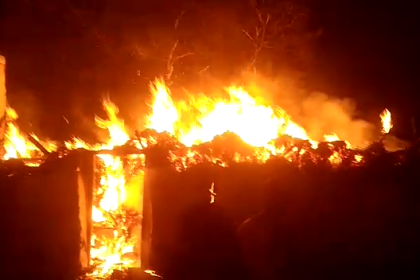 Over 50 sheep burnt alive after shed catches fire in Bagepalli village