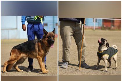Grand dog show in Nepal's Lalitpur draws range of breeds