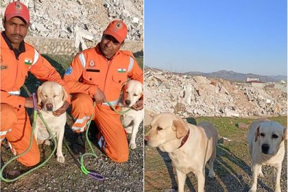 NDRF's Romeo and Julie saves 6-year old in earthquake-hit Turkey