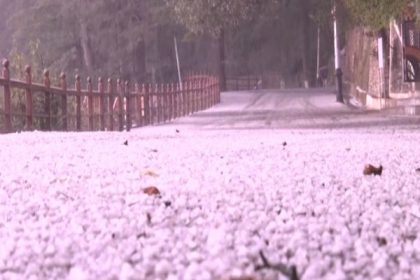 Hailstorm, lightning lash Shimla, 121 roads closed in Himachal