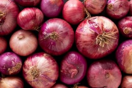 No ban on exports; onions worth $523.8 million exported in Apr-Dec 2022