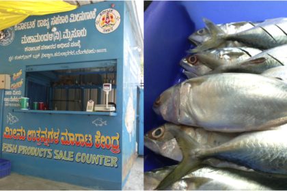 Fish canteens planned at 100 locations across eight BBMP zones in Bengaluru