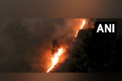 Forest fire breaks out near Kodaikanal hills in Dindigul