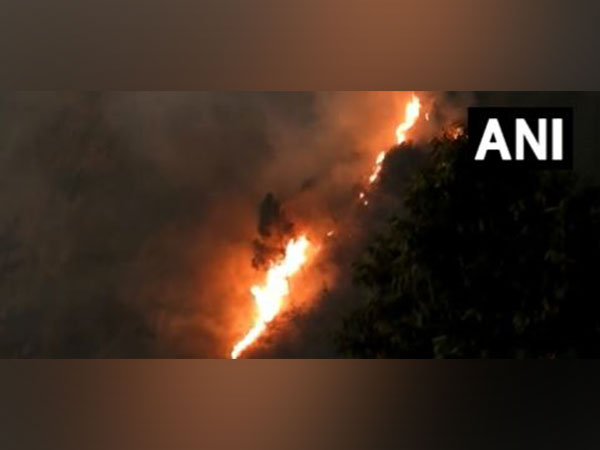 Forest fire in Kodaikanal range extinguished