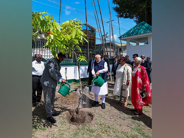 Planting a sapling in solidarity with the environment