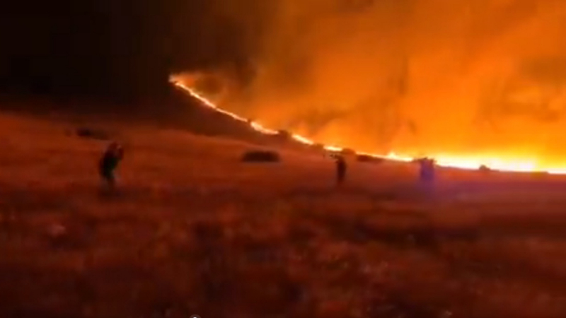 Israel contacts Greece, Cyprus, Croatia, Italy and Bulgaria for aid in fighting wildfires